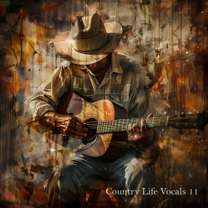 Various Artists的專輯Country Life Vocals 11