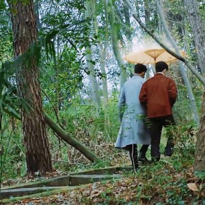 Album 【阮澜烛&凌久时】水中花——澜久扫晴娘蜜月本521贺曲 from 九晴