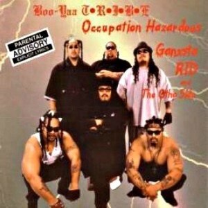 Album Occupation Hazzard (Explicit) from Boo-Yaa T.R.I.B.E.