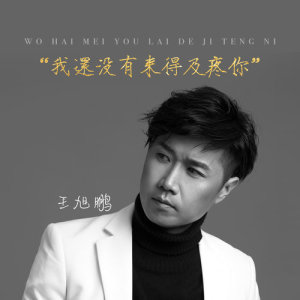Listen to 我還沒有來得及疼你 (錄音室版) song with lyrics from 王旭鹏