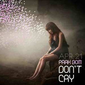 ดาวน์โหลดและฟังเพลง Don't Cry พร้อมเนื้อเพลงจาก Park Bom