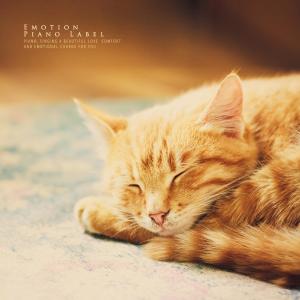 Various Artists的专辑Clear up music for pets (piano therapy)