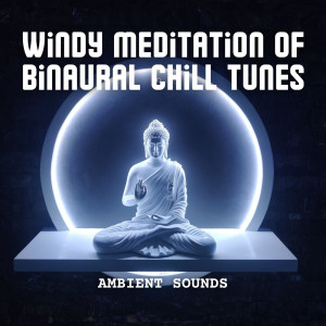Album Ambient Sounds: Windy Meditation of Binaural Chill Tunes oleh Native American Meditations