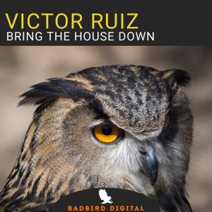 Victor Ruiz的专辑Bring The House Down