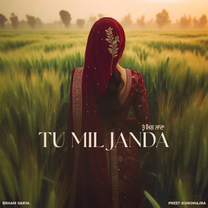Listen to Tu Mil Janda song with lyrics from Brham Darya