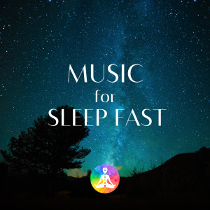อัลบัม Music For Sleep Fast 528Hz Miracle Tone ศิลปิน Sleep Music Laboratory
