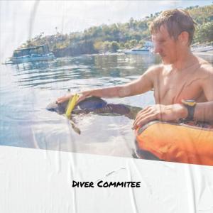 Album Diver Commitee from Various