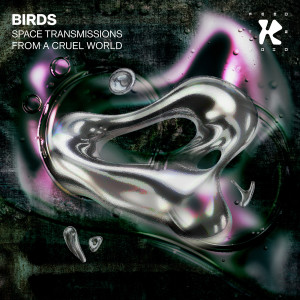 Album Space Transmissions From A Cruel World from Birds
