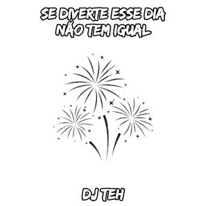 收听DJ Teh的Se Diverte Esse Dia Não Tem Igual (Explicit)歌词歌曲