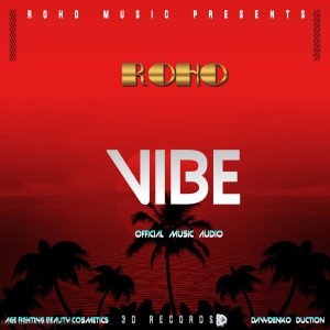 Listen to Vibe song with lyrics from Roho
