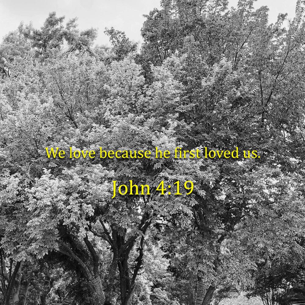 HE FIRST LOVE US.