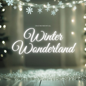 Acoustic Christmas Music Band的專輯Instrumental Winter Wonderland