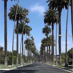 Album Los Angeles Vibes from Bobby Beatz