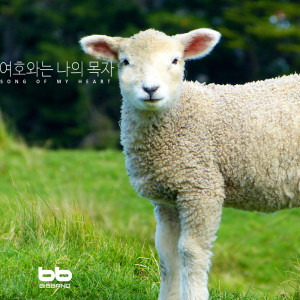 Dengarkan lagu 시와 별 그리고 동강 Poem, Stars and Donggang River nyanyian 아라라 콰이어 dengan lirik