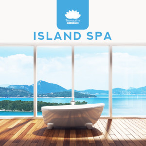 收聽Tranquility Spa Universe的Tranquil Day歌詞歌曲
