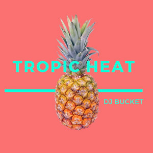 收聽DJ Bucket的Tropic Heat歌詞歌曲