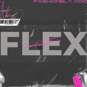 อัลบัม FLEX ศิลปิน Chris Reece