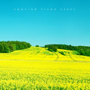 ดาวน์โหลดและฟังเพลง Feel the nature พร้อมเนื้อเพลงจาก Phrygia