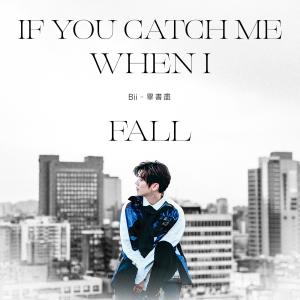 Album If You Catch Me When I Fall oleh Bii