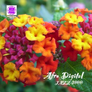 Jazz3000的專輯Sound of Kyoto-Sukima-/Afro Digital