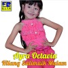 default album img