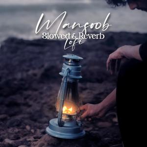 Album Mansoob Slowed+Reverb+Lofi oleh Kaifi Khalil