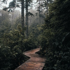 Relaxation Path的专辑Relaxing Rain Fall