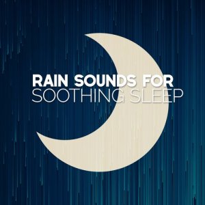 ดาวน์โหลดและฟังเพลง Birds Flee the Rain พร้อมเนื้อเพลงจาก Outside Broadcast Recordings
