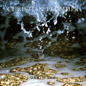 ดาวน์โหลดและฟังเพลง Where You Gonna Go พร้อมเนื้อเพลงจาก Christian Prommer