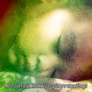 อัลบัม 40 Insomnia Removing Surroundings ศิลปิน Sounds Of Nature
