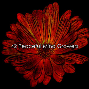 42 Peaceful Mind Growers