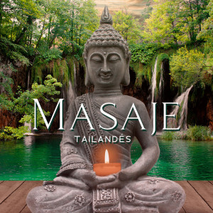 Listen to Tiempo Para Relajarse song with lyrics from Japonés Área de Relajación
