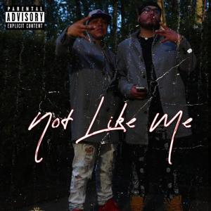 ดาวน์โหลดและฟังเพลง Not Like me (Explicit) พร้อมเนื้อเพลงจาก MiistaTechnique