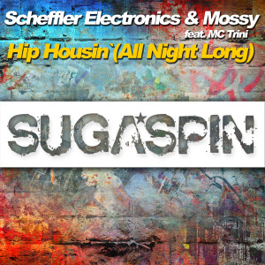 Dengarkan Hip Housin' (All Night Long) (Oldschool Edit) lagu dari Scheffler Electronics dengan lirik