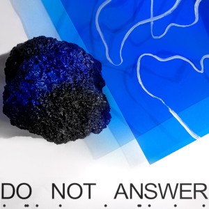 Album Do Not Answer from CHE