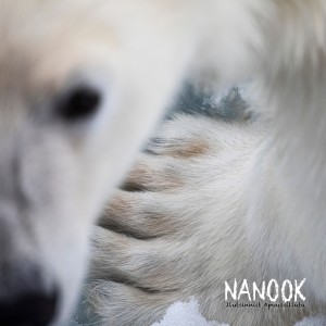 收聽Nanook的Salliutitani歌詞歌曲