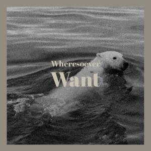 Listen to Wheresoever Want song with lyrics from Jilmer