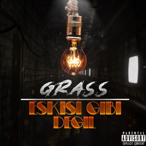 Album Eskisi Gibi Değil from Grass