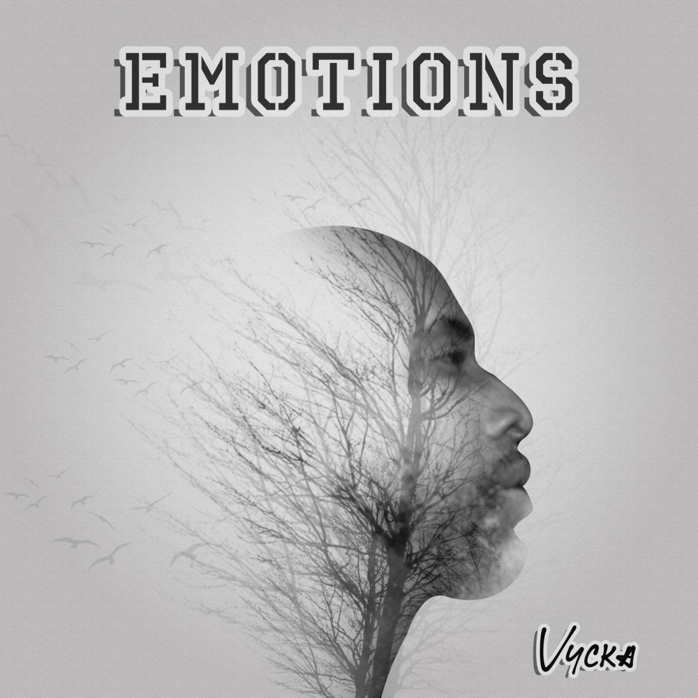 Emotions (Explicit)