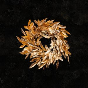 Newhope Worship的專輯Rejoice (feat. John Arthur Greene) [Studio Version]