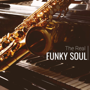 Album The Real Funky Soul from Various