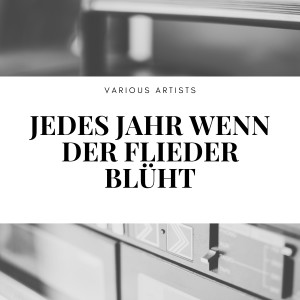 Listen to Mauerblümchen (A Sweet Old Fashioned Girl) song with lyrics from Erni Bieler