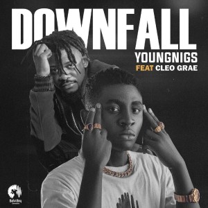 Youngnigs的专辑Downfall