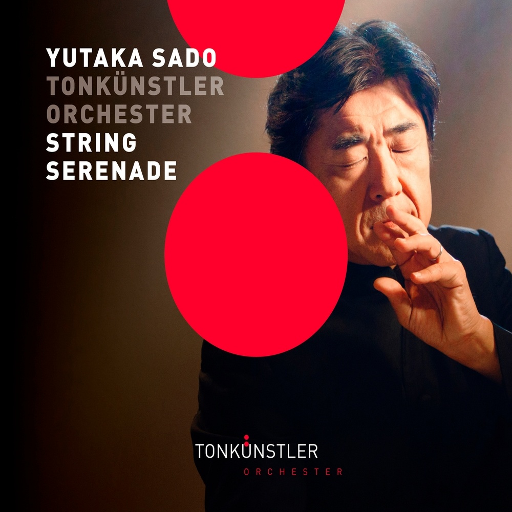 Serenade for Strings in C Major, Op. 48, TH 48: II. Waltz. Moderato tempo di valse