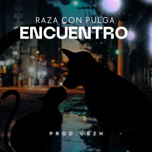 收聽Raza con Pulga的Encuentro歌詞歌曲