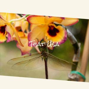 Album That Usa from Various