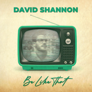 ดาวน์โหลดและฟังเพลง Be Like That พร้อมเนื้อเพลงจาก David Shannon