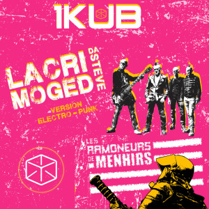 Listen to Lacri-Moged Da Steve (Electro-Punk Version) (Explicit) song with lyrics from 1KUB