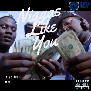 收听Fats Stacks的Niggas Like You (Explicit)歌词歌曲