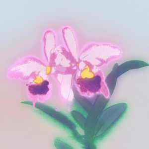 Listen to Saudade song with lyrics from Lil Summer